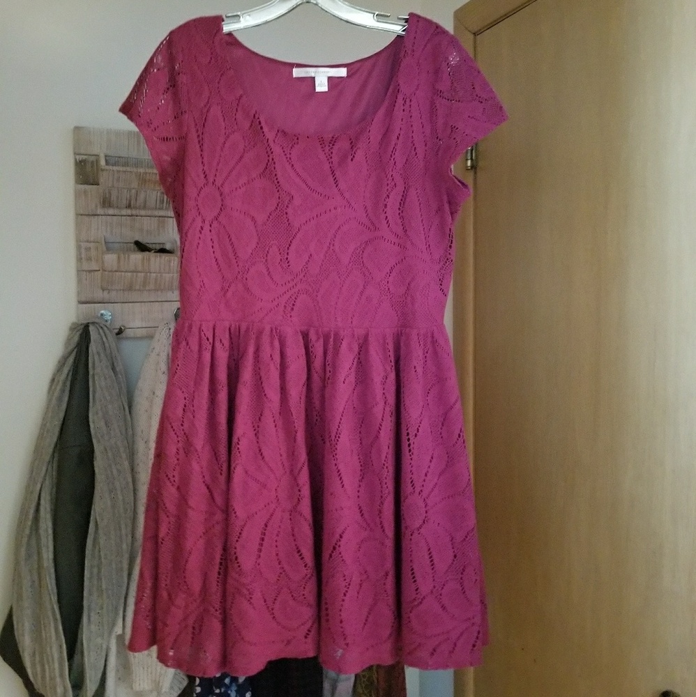 ⭐ Lauren Conrad Knit Dress